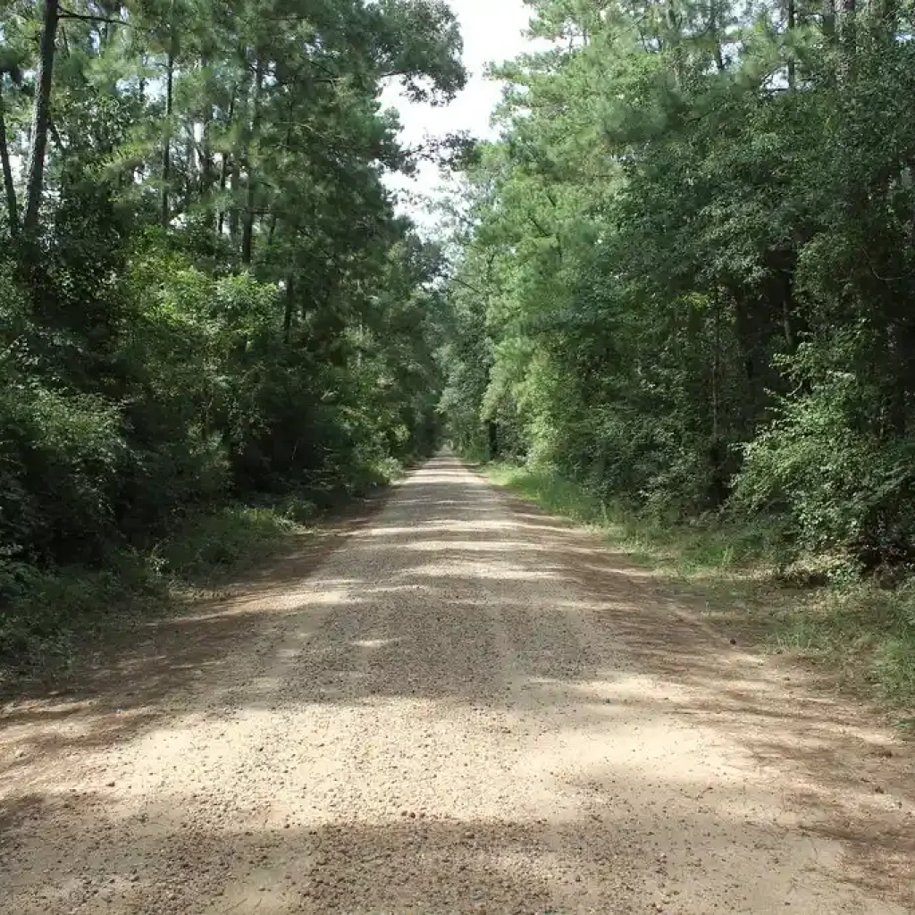 19 Haunted Places in Texas You Should Add To Your Bucket List 2 The Spooky Bragg Road