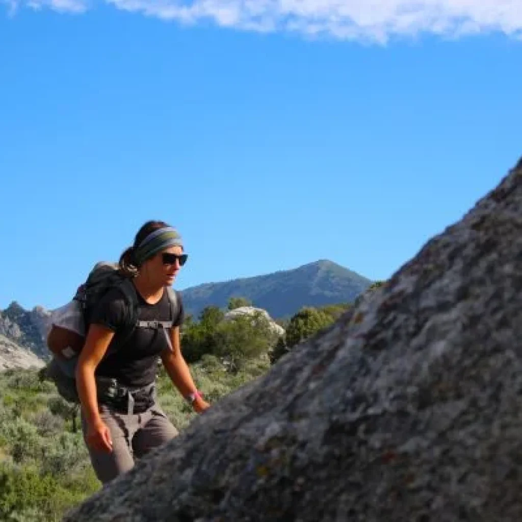 Implications of the Complaints