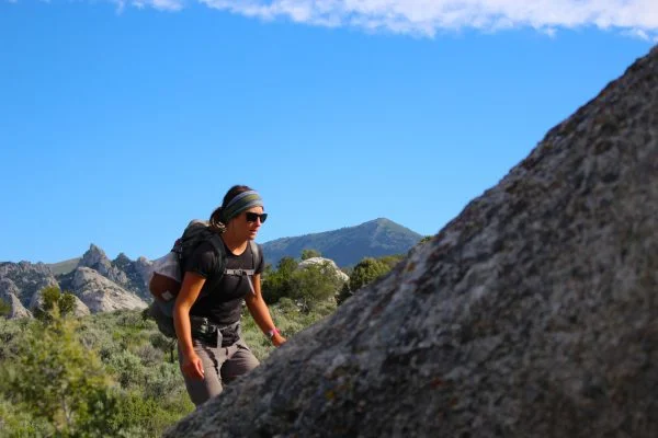 The Impact of Complaints on Bluefire Wilderness