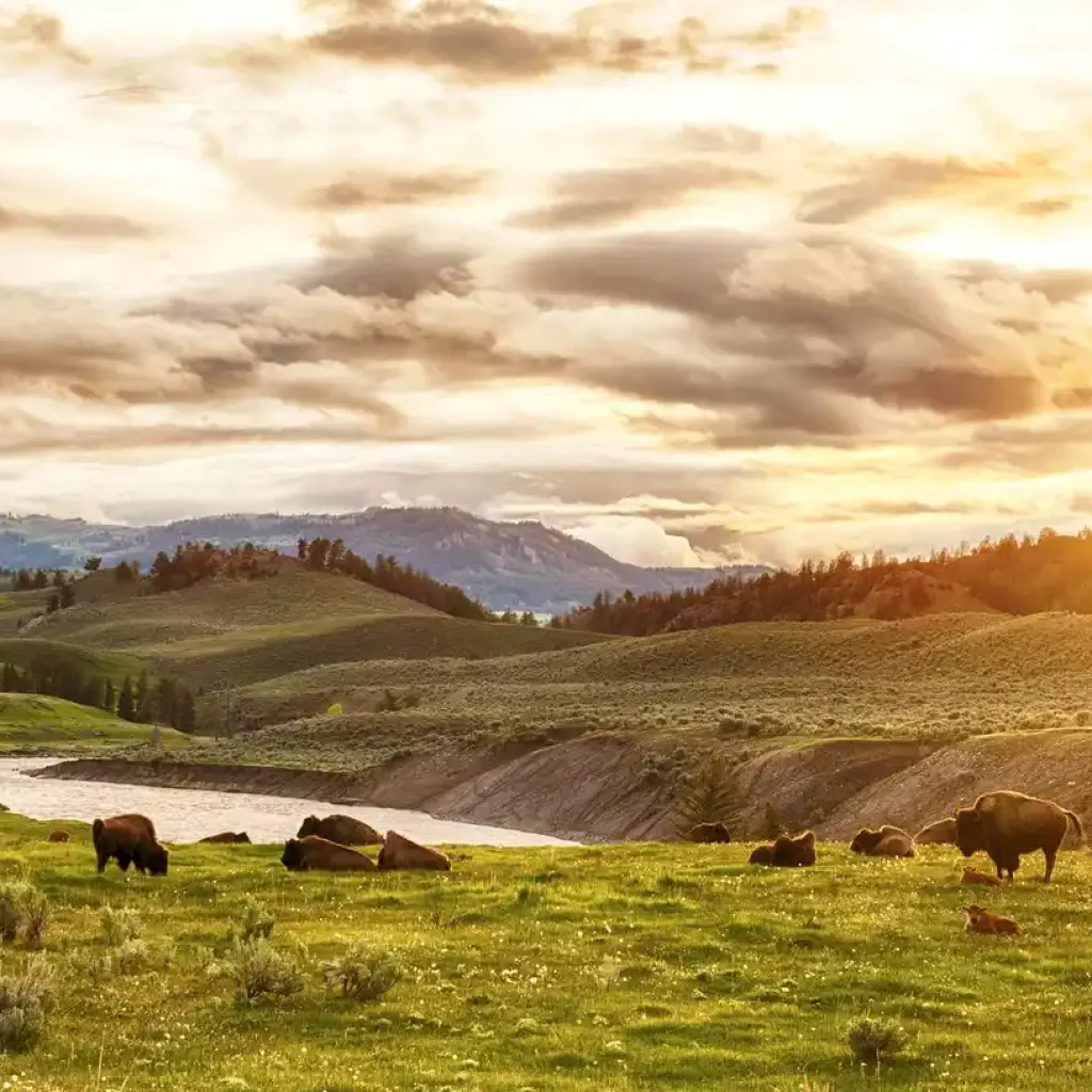 Worst Time to Visit Yellowstone: Essential Tips for Planning 2 Yellowstone Visits by Month