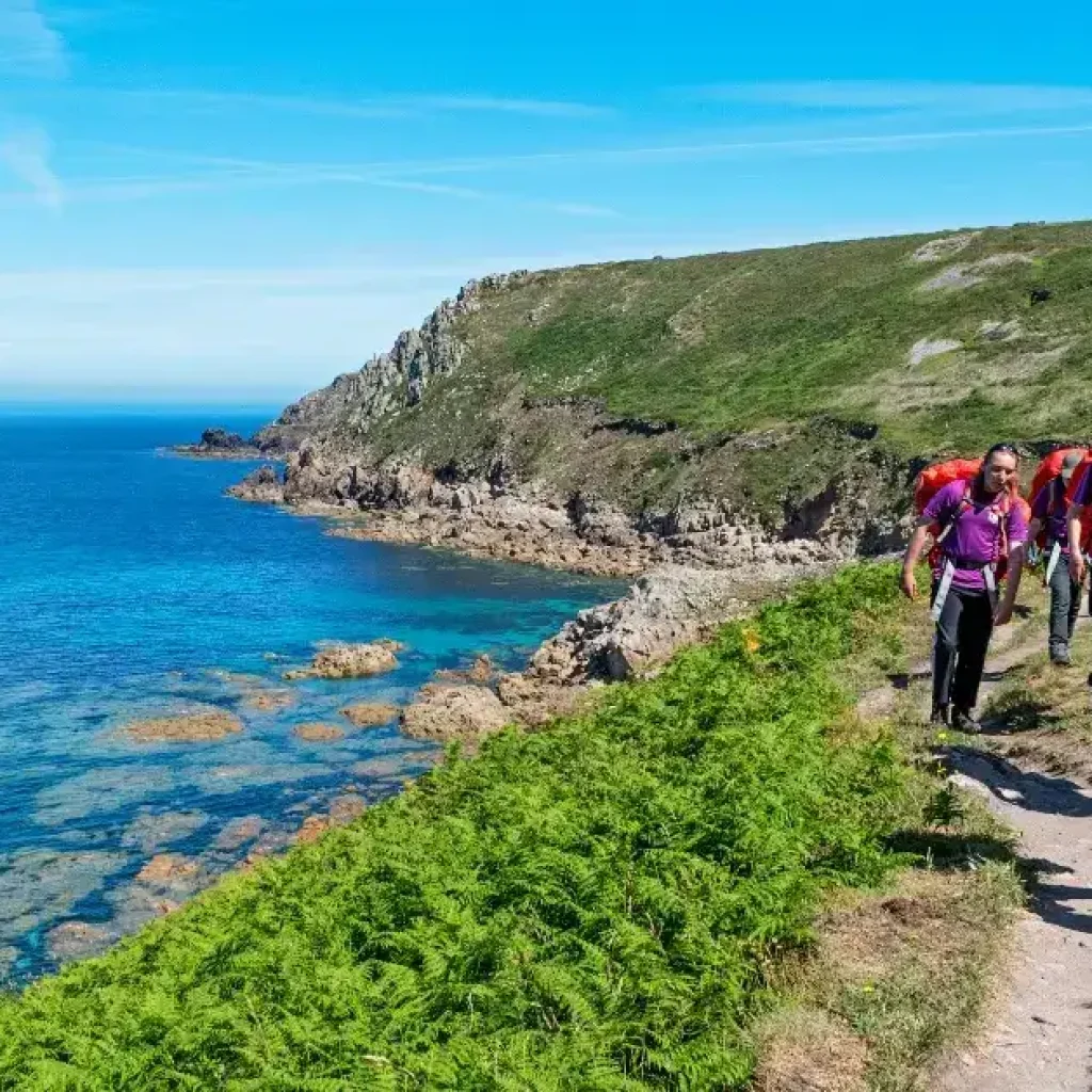 Allegations Against Bluefire Wilderness