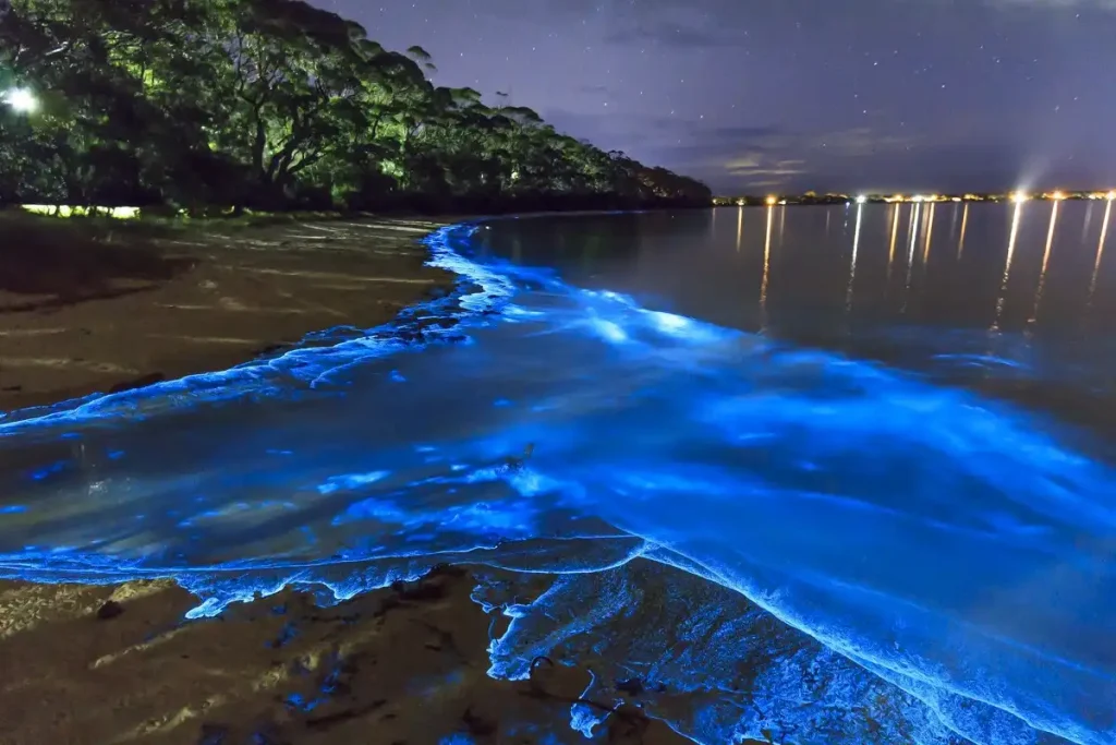 20 Mind-Blowing Places on Earth That Don't Feel Real 11 Glowing Beach in Maldives