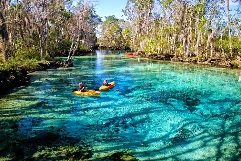 12 Underrated Summer Travel Ideas You Need to Try In 2026 1 Crystal River Florida