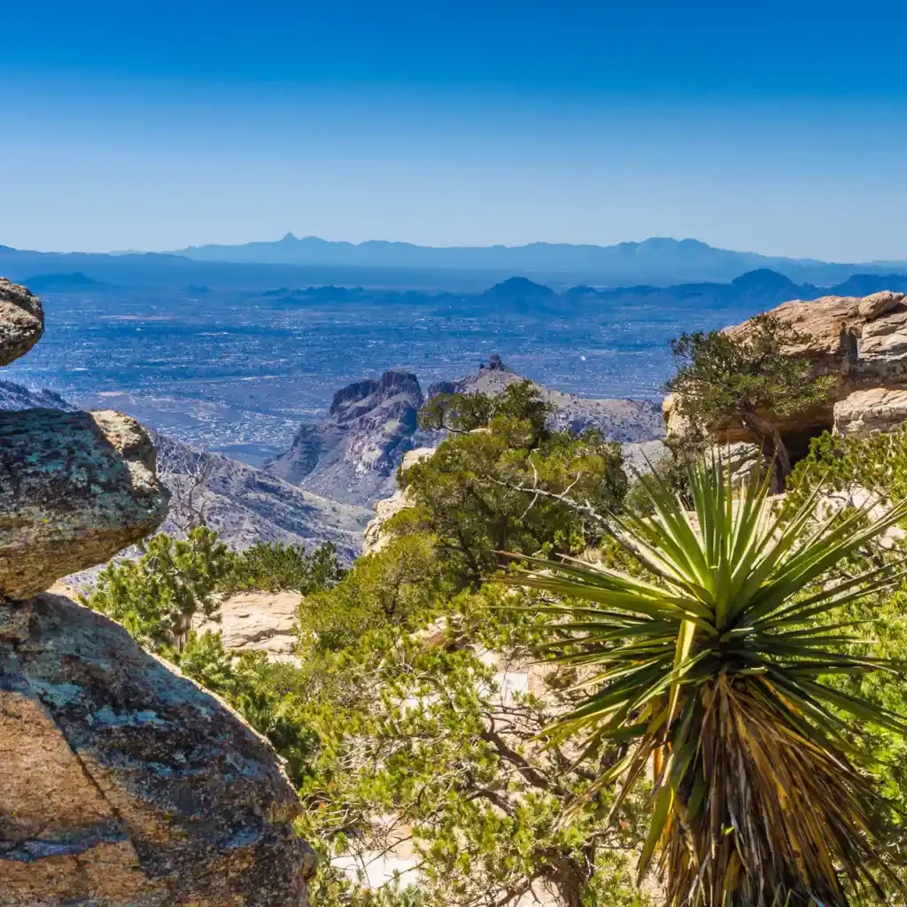 10 Most Romantic and Fun Things to Do in Tucson for Couples 10 Mount Lemmon