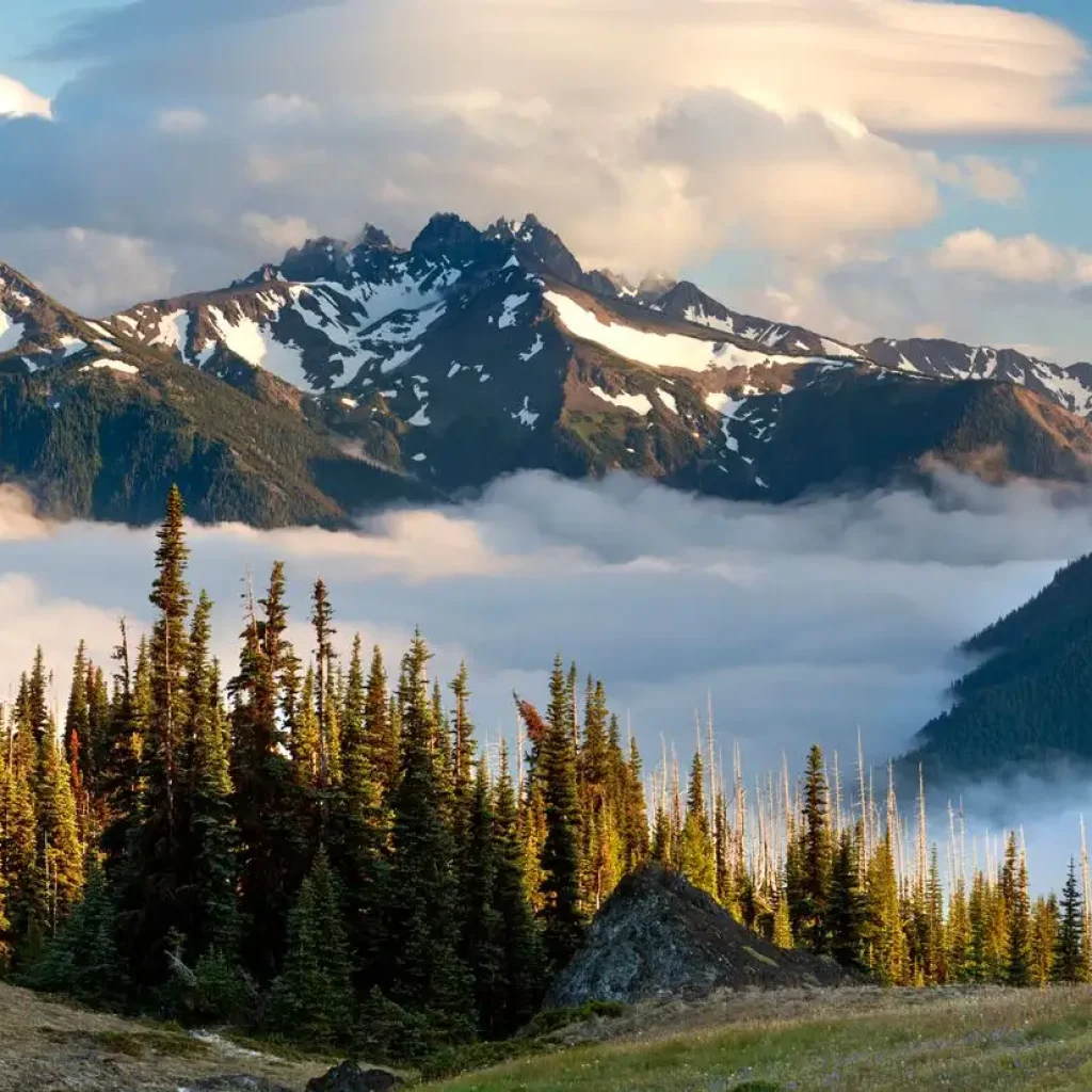 10 Most Romantic and Fun Things to Do in Tucson for Couples 7 Mountain Park