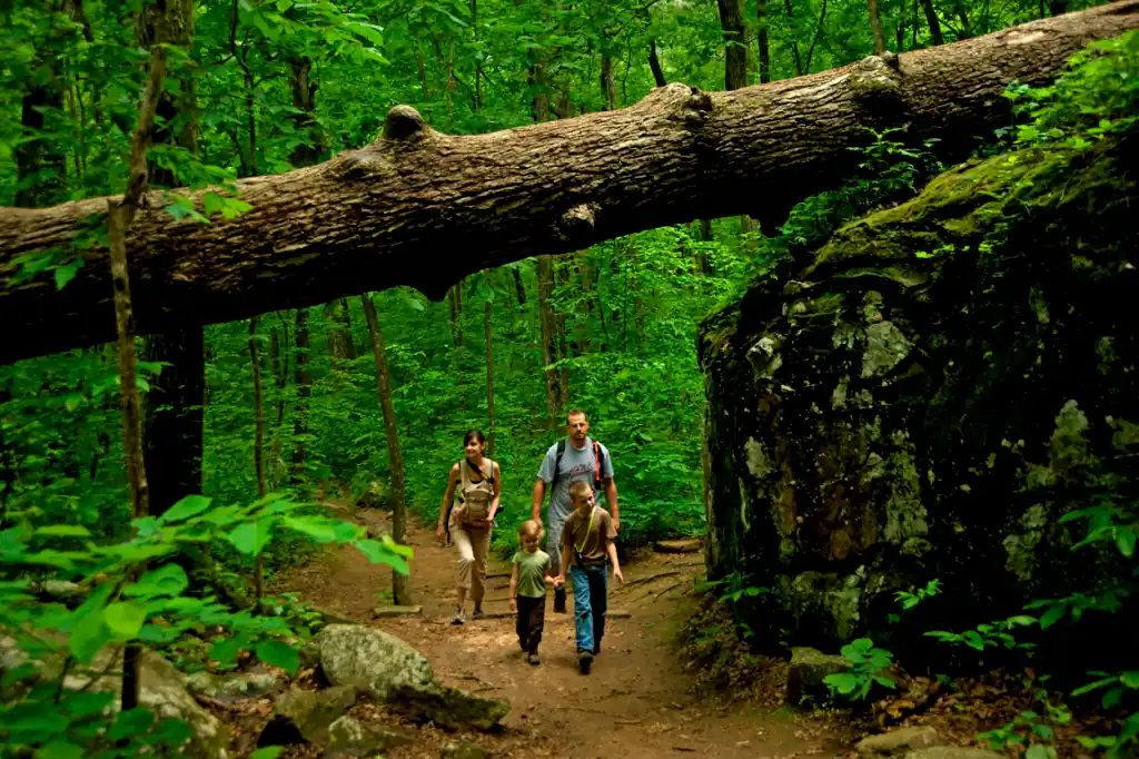 Petit Jean State Park