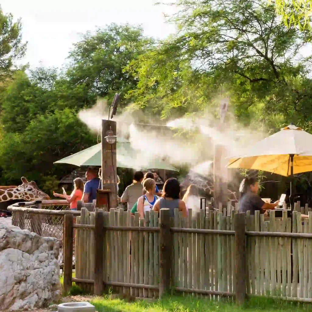 10 Most Romantic and Fun Things to Do in Tucson for Couples 6 Reid Park Zoo