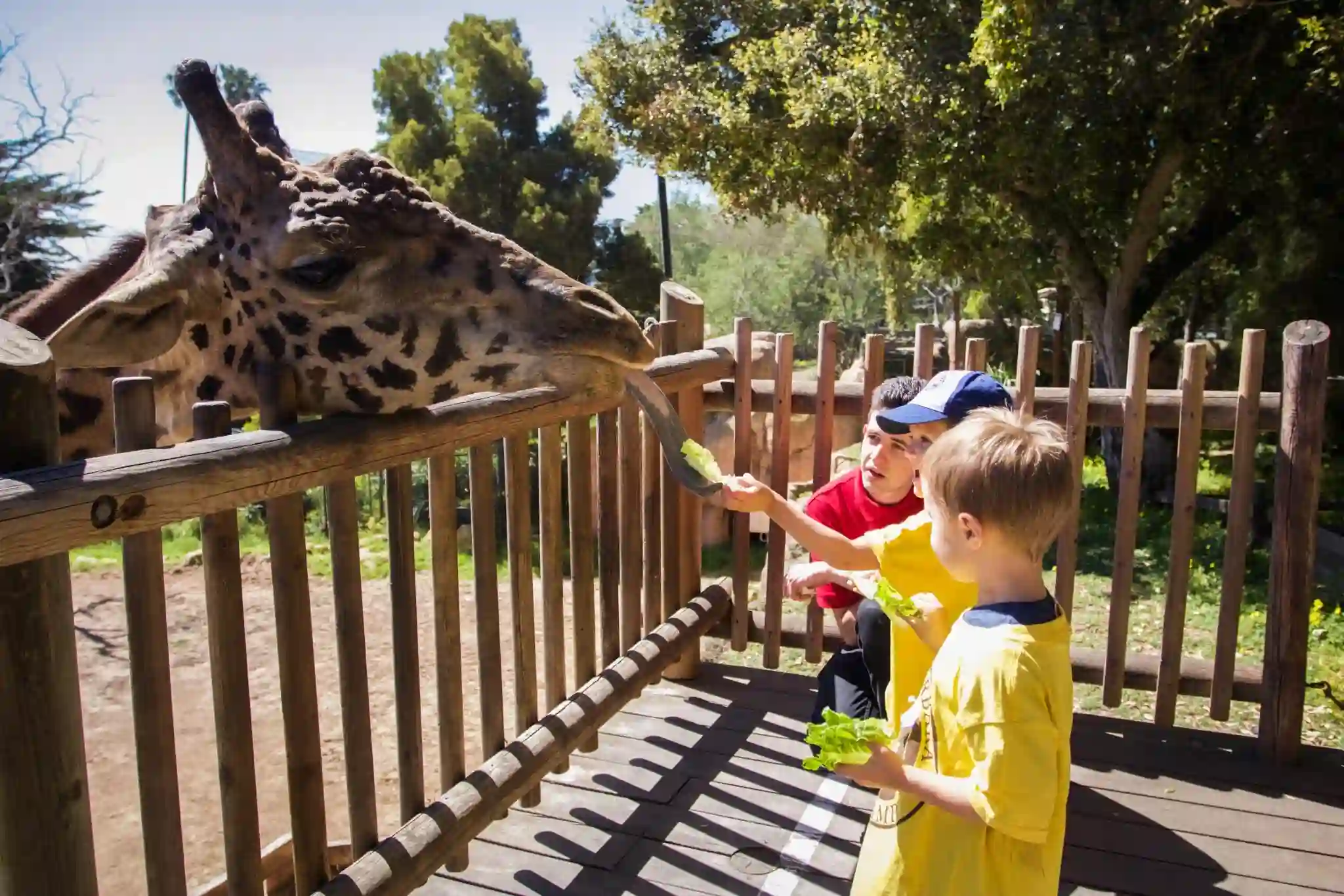 Santa Barbara Zoo
