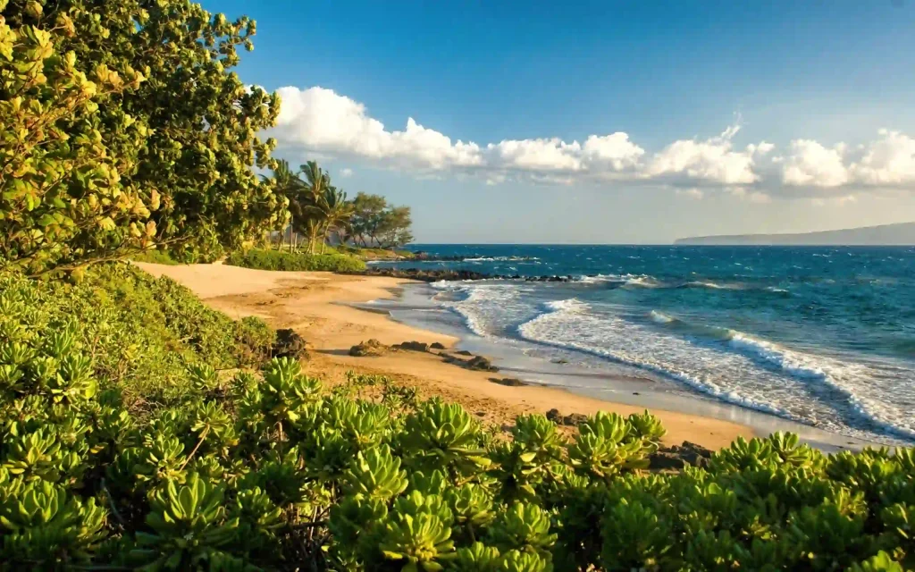 12 Best Christmas Beach Holiday Destinations Around the World 6 Maui, Hawaii