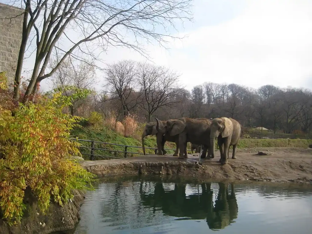 Pittsburgh Zoo & Aquarium