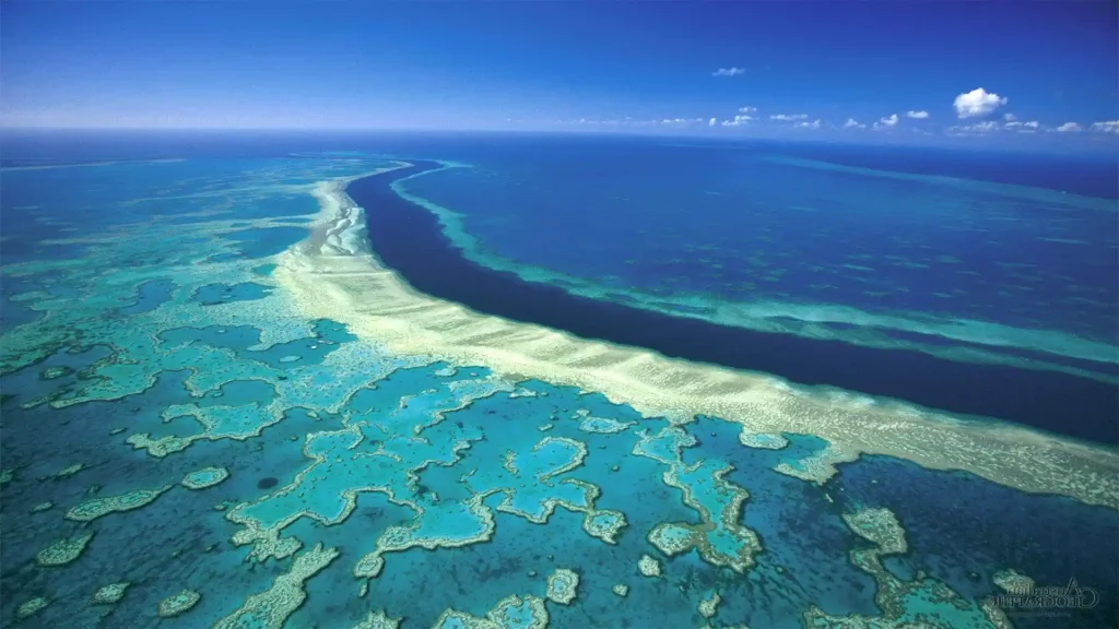 The Great Barrier Reef, Australia