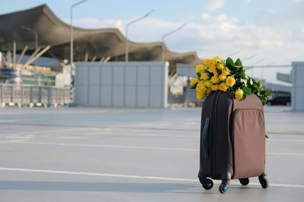 Bringing Flowers on an International Plane
