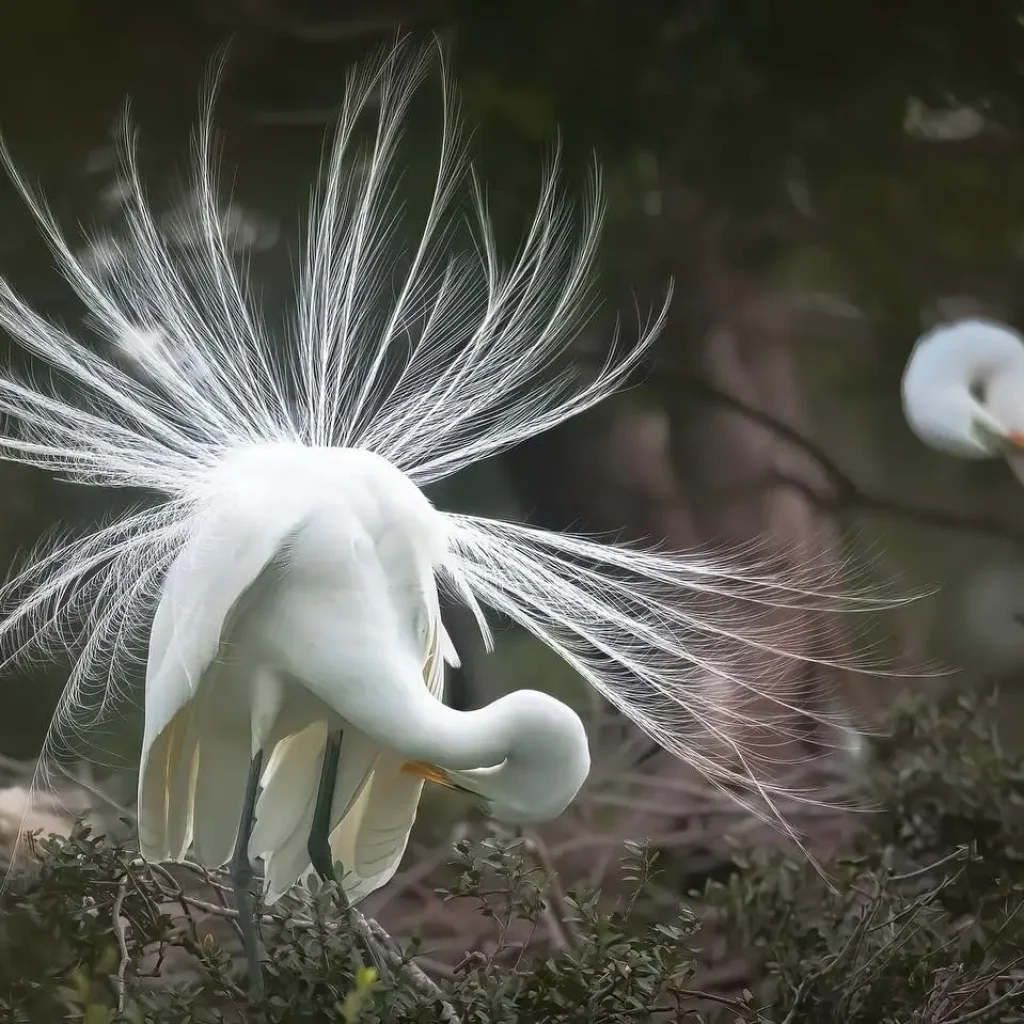 12 Free Things to Do in Hilton Head Island in 2024 1 Pinckney Island National Wildlife Refuge