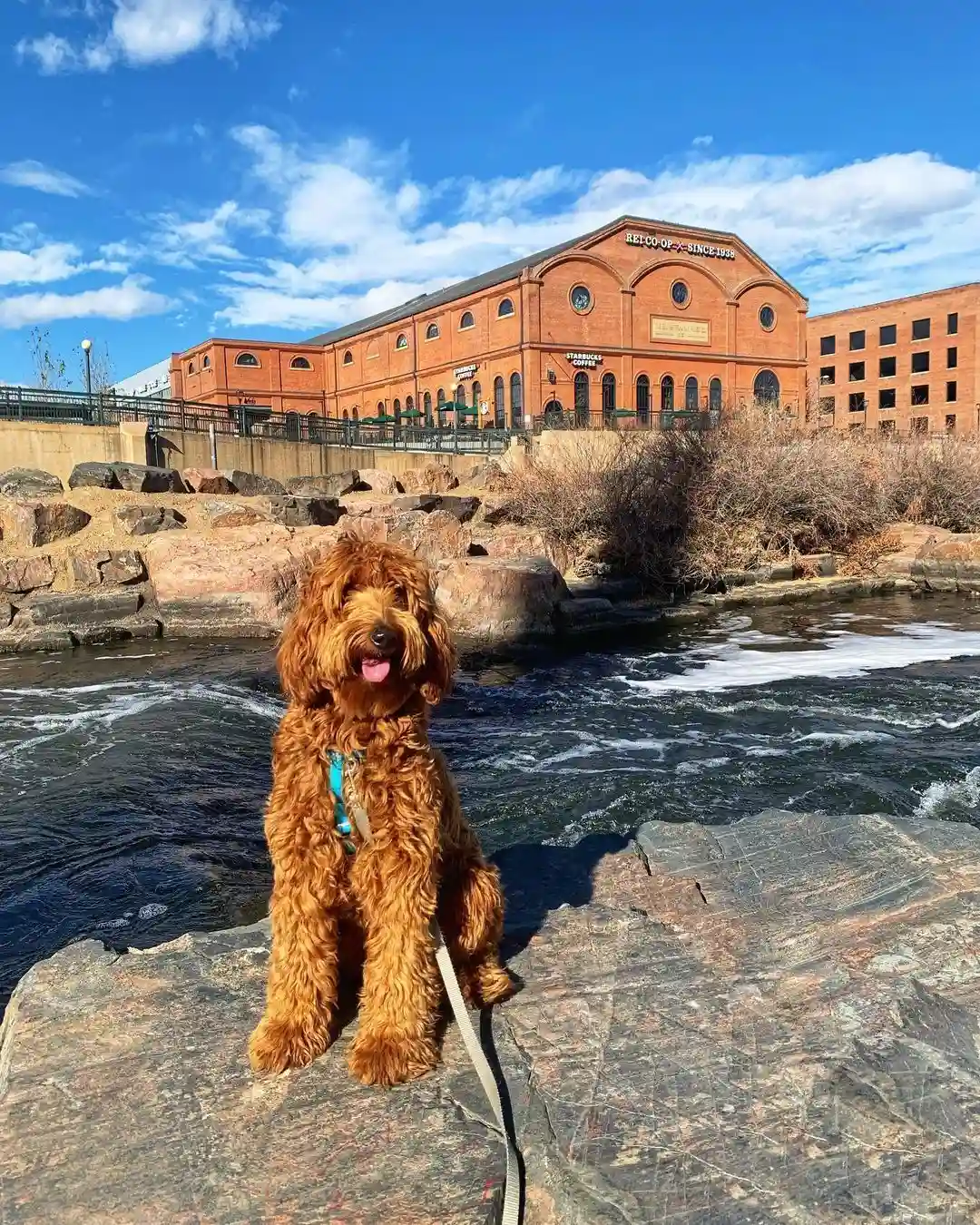 Denver in 1 Day: The Ultimate Itinerary Guide 17 Relaxing at Confluence Park denver