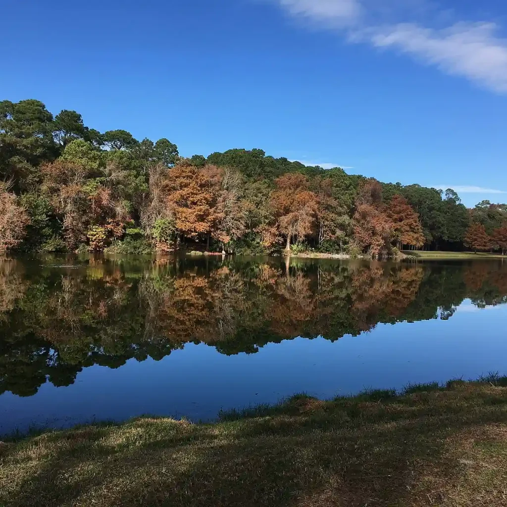 12 Free Things to Do in Hilton Head Island in 2024 2 The Sea Pines Forest Preserve