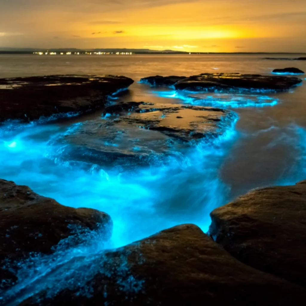 15 Beaches on Earth That Don't Feel Real, According to YouTube 11 Bioluminescent Bay Puerto Rico