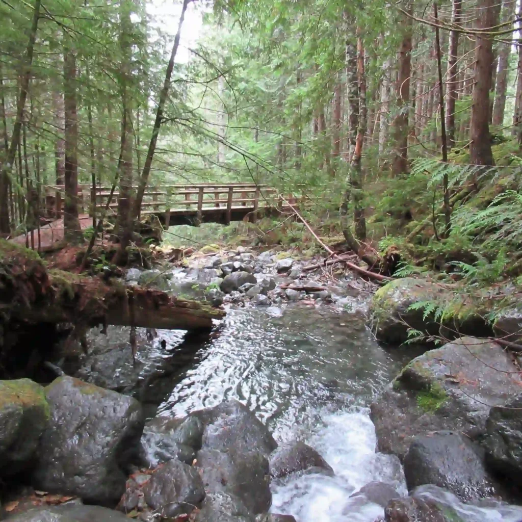 Deep Creek Loop Trail