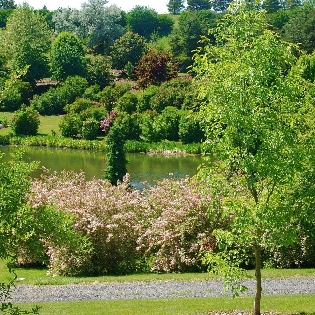 12+ Fun Things to Do in Boise for Adults (+Tips) 4 Idaho Botanical Garden