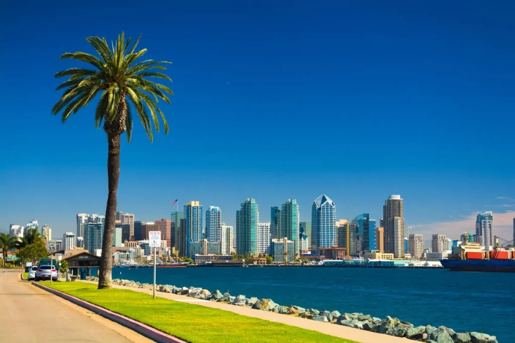 10 Best Spring Break Destinations for Families on a Budget in US 2 View of San Diego's city skyline from across a body of water under a clear blue sky. A tall palm tree stands prominently on the left side along a street with a 35 mph speed limit sign. The city’s buildings, including modern skyscrapers, line the waterfront, capturing California's urban beauty.