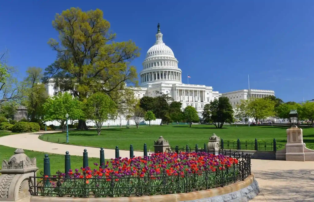 10 Best Spring Break Destinations for Families on a Budget in US 7 The image shows the United States Capitol building in Washington, D.C., under a clear blue sky. In the foreground, there is a flower bed with colorful tulips, a fenced garden area, and a paved walkway surrounded by lush green trees and grass.