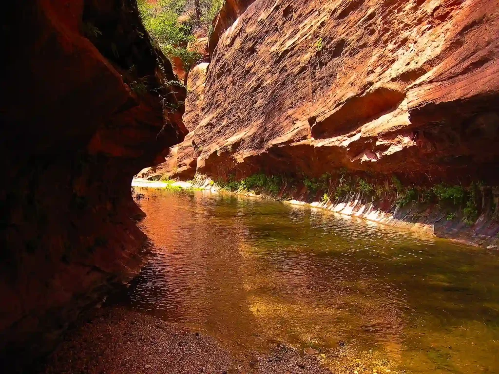 12 Easy Hikes in Sedona AZ with Stunning Red Rock Views 1 Nestled within the West Fork Trail, a narrow canyon boasts steep, reddish rock walls on both sides and a calm, shallow creek running through the middle. Sunlight illuminates the scene, highlighting the textures and colors of the rock and water. Vegetation can be seen along the water's edge.