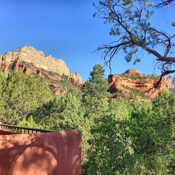 12 Easy Hikes in Sedona AZ with Stunning Red Rock Views 11 A scenic view of Sedona's red rock formations, topped with lush green vegetation under a clear blue sky, unfolds near the Yavapai Vista Trail. In the foreground, a portion of a red stucco wall is visible, partially shaded by trees. Pine branches frame the image on the right.