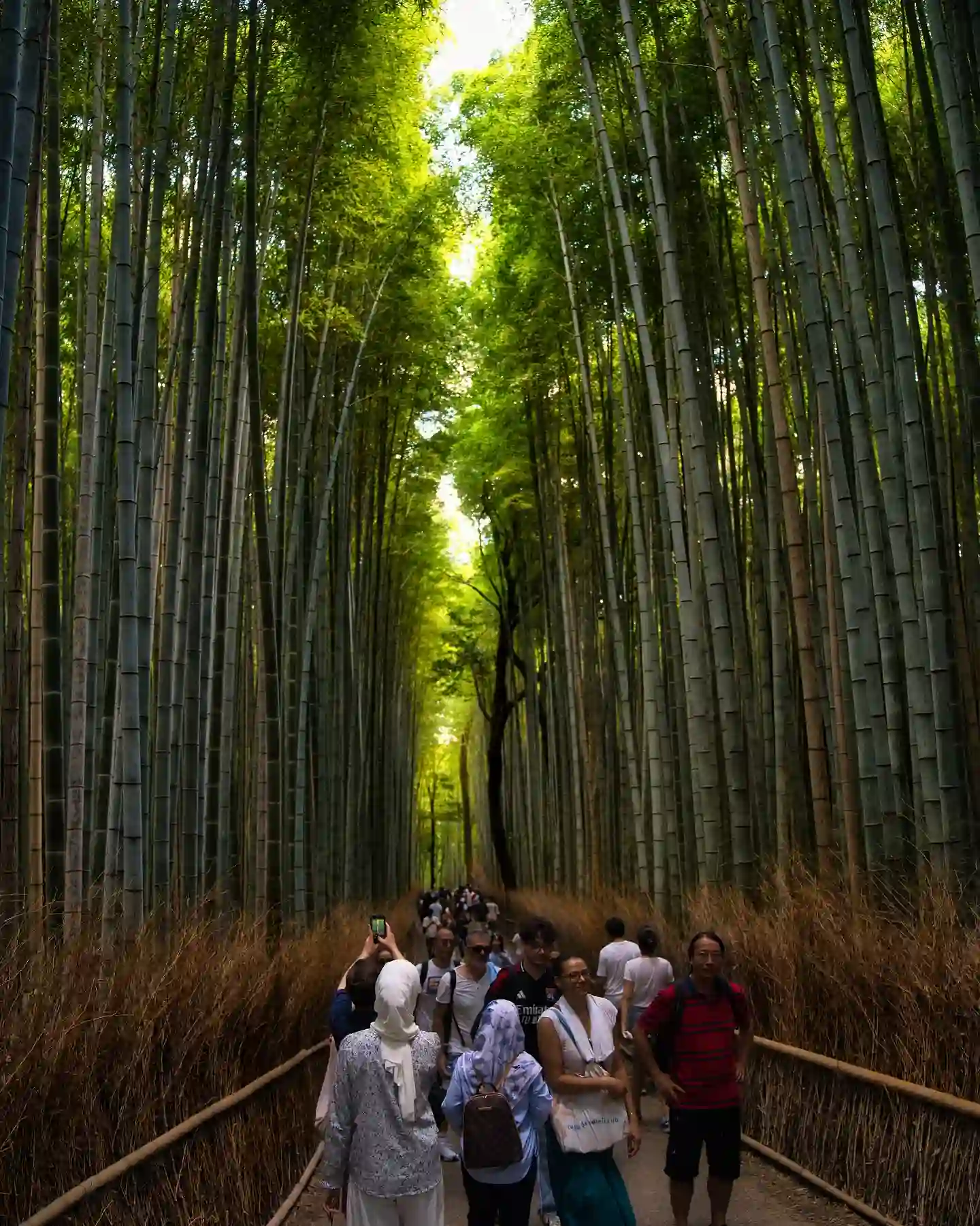20 Bucket-List Worthy Exotic Travel Destinations to Visit Now 13 A group of people walks along a narrow pathway through the dense Arashiyama Bamboo Forest. Tall, green bamboo stalks tower on both sides, creating a natural canopy overhead. The scene is serene with a mix of sunlight and shade filtering through the foliage.