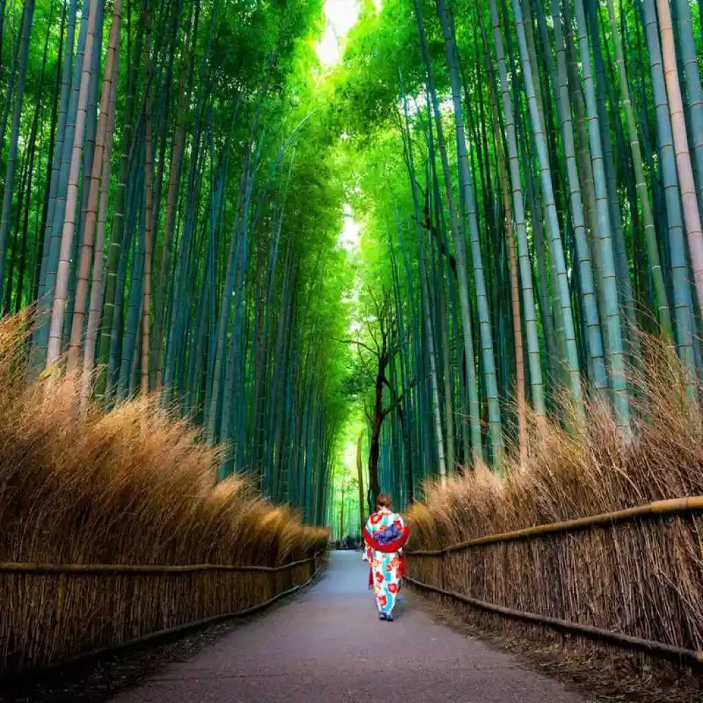Japan Itinerary 10 Days for Beginners - An In-Depth Guide 17 Arashiyama Bamboo Grove
