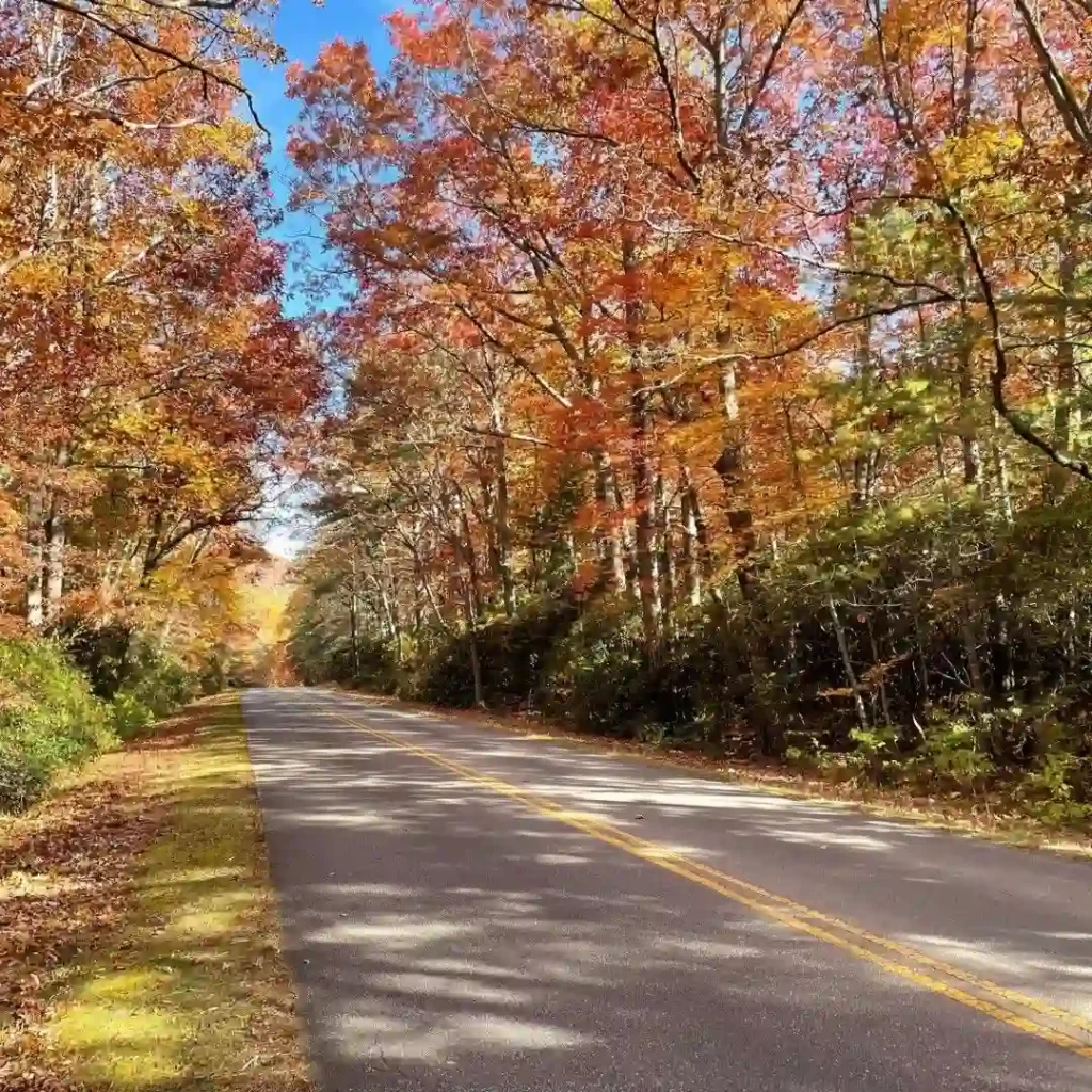 Blue Ridge Parkway