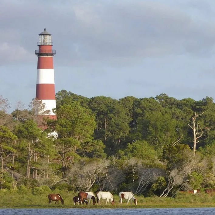 Chincoteague Island