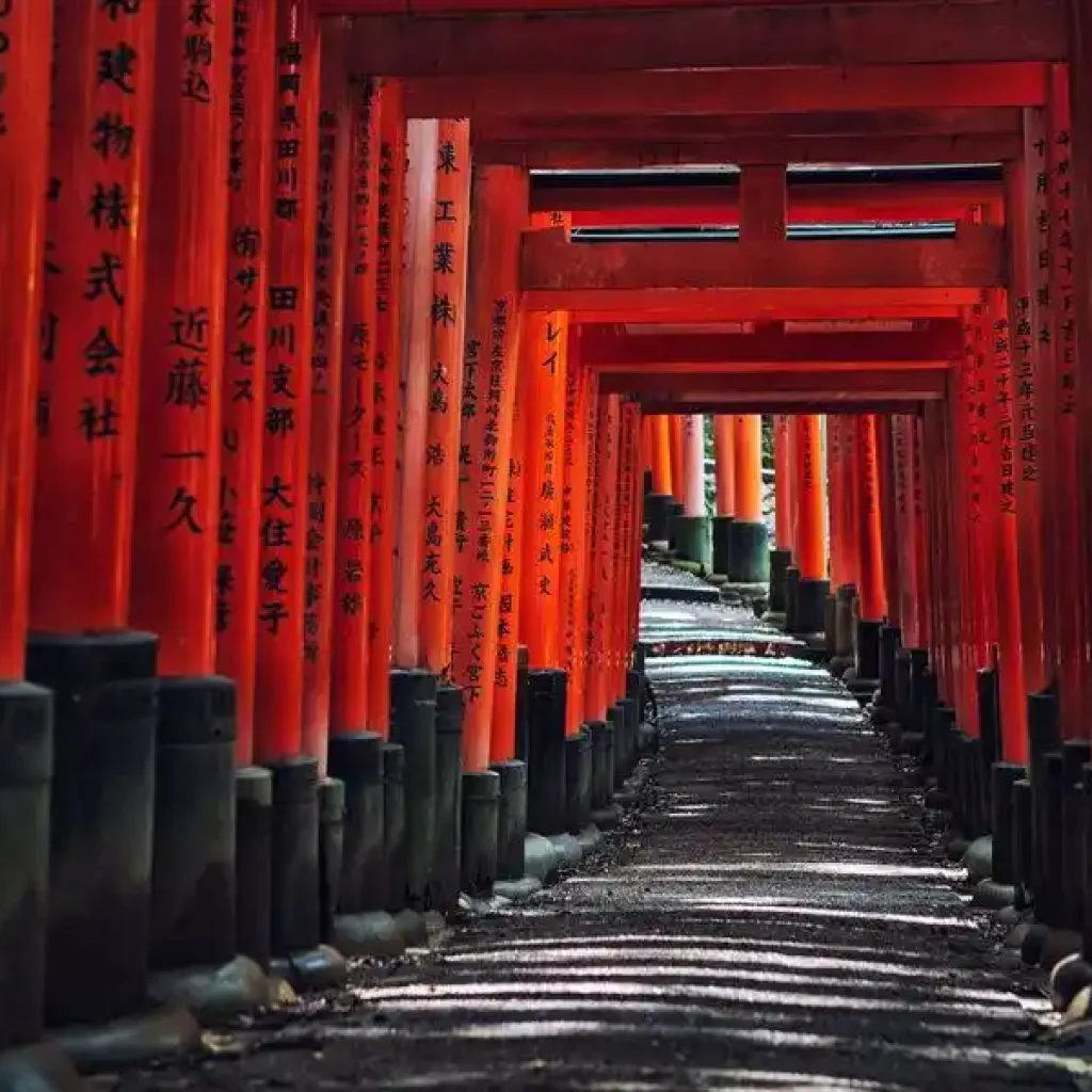 Japan Itinerary 10 Days for Beginners - An In-Depth Guide 14 Fushimi Inari Shrine