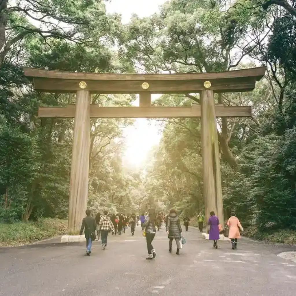 Japan Itinerary 10 Days for Beginners - An In-Depth Guide 4 Meiji Shrine and Yoyogi Park