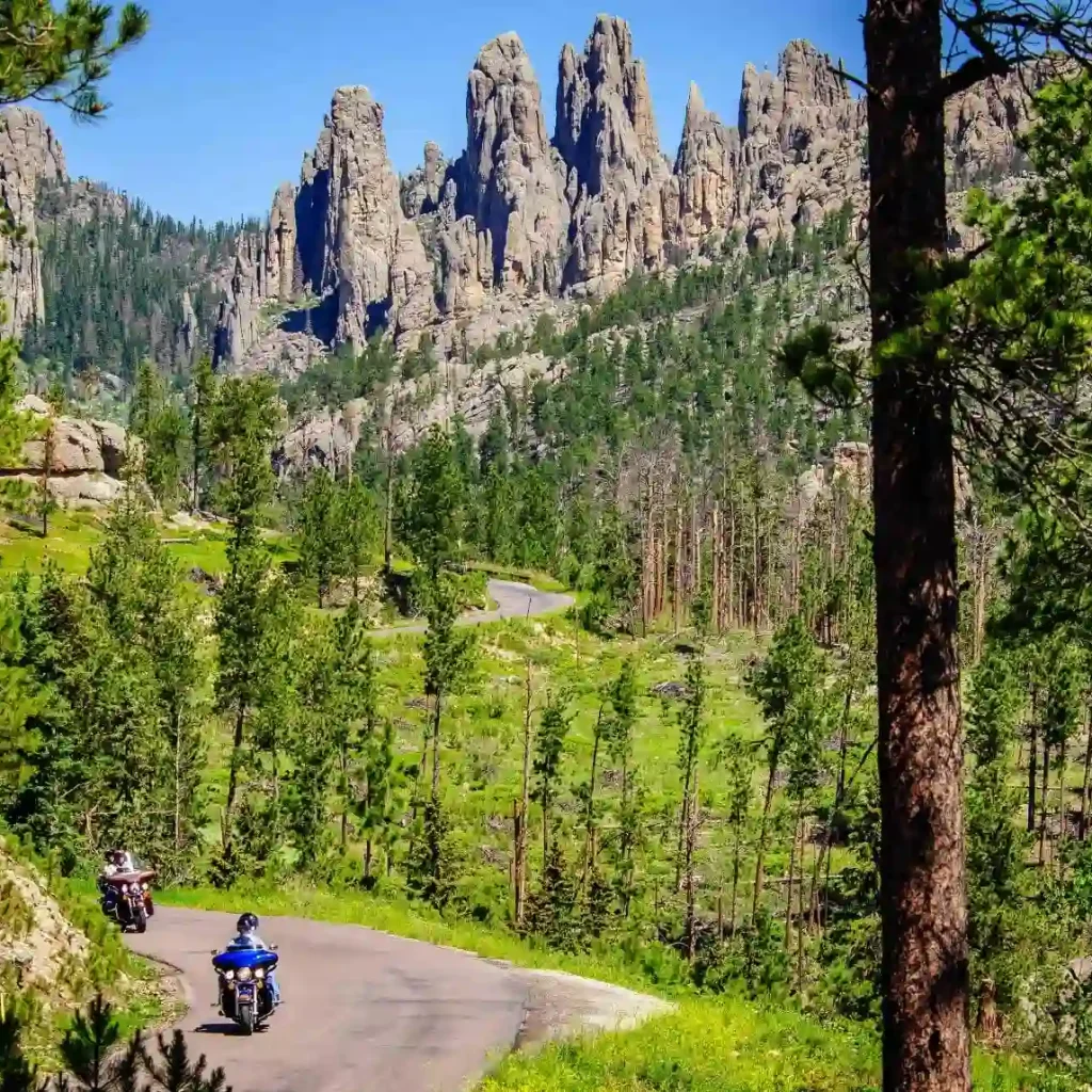 15+ Best Places to Take Pictures in South Dakota 3 Needles Highway