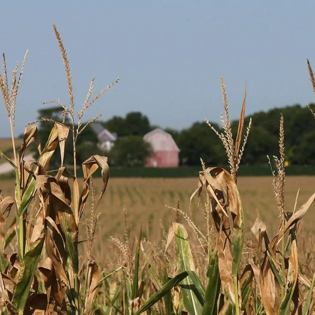 15+ Best Places to Take Pictures in South Dakota 5 On a Farm