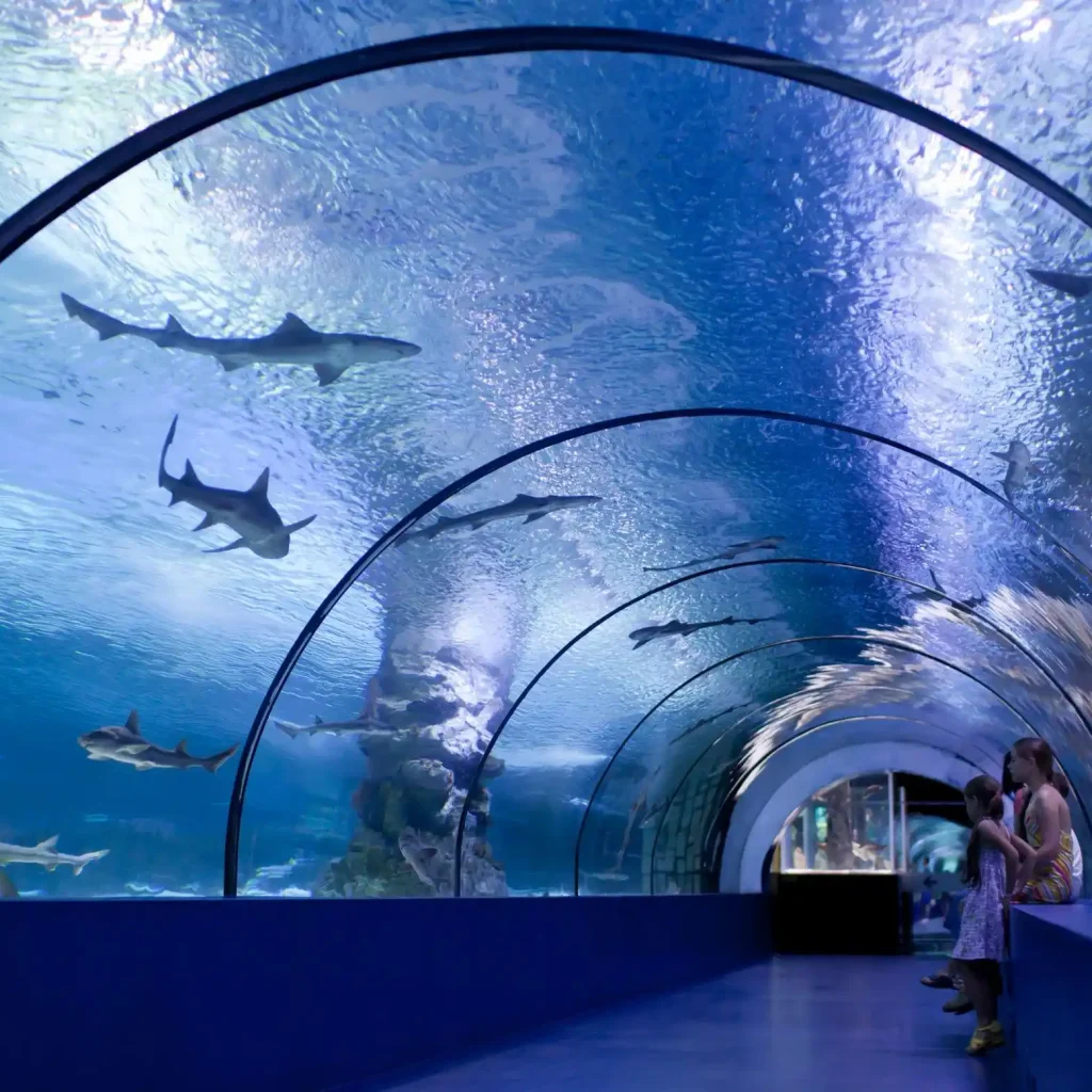 Japan Itinerary 10 Days for Beginners - An In-Depth Guide 24 Osaka Aquarium Kaiyukan