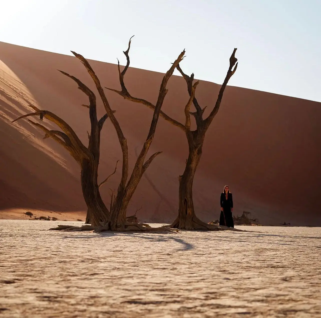 20 Bucket-List Worthy Exotic Travel Destinations to Visit Now 10 A person in dark clothing stands near three leafless, gnarled trees in the vast, arid landscape of Sossusvlei with towering sand dunes. The sky is clear and blue. The shadows of the trees stretch across the cracked, parched ground.