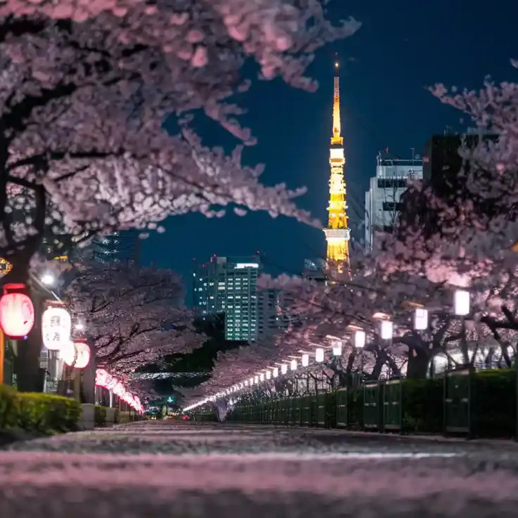 Japan Itinerary 10 Days for Beginners - An In-Depth Guide 1 Tokyo 1