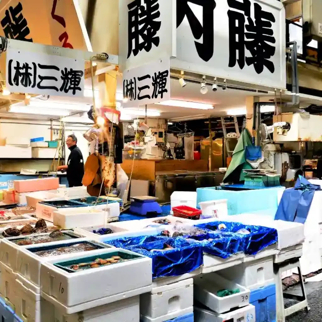 Japan Itinerary 10 Days for Beginners - An In-Depth Guide 6 Tsukiji Outer Market 1