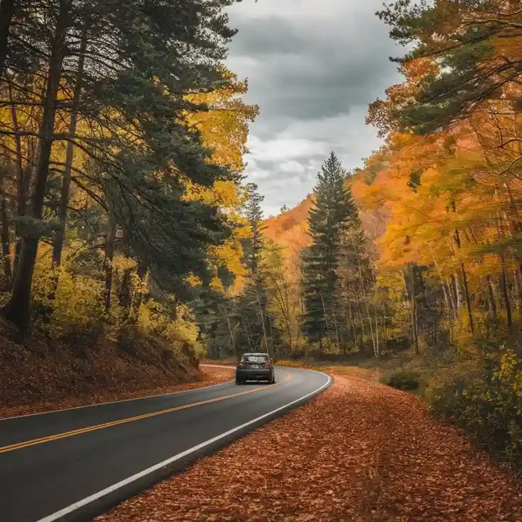 What Should You Inspect on your Vehicle Before Going on a Road Trip? 1 car on a road in National Park road trip