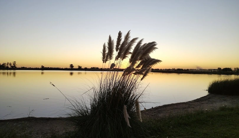 What Do Tourists Do in Las Pampas Argentina? Activities & Tips 6 Laguna La Arocena