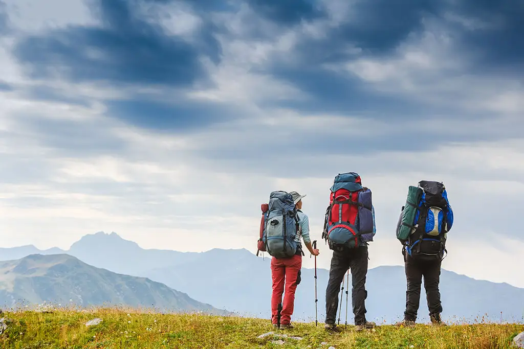 What Can You Learn from Mega-personal.net Travel Archives? 1 What is Mega-personal.net Travel Archives