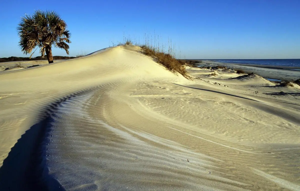 What are Places with Amazing Sunsets in Georgia? 7 Cumberland Island National Seashore