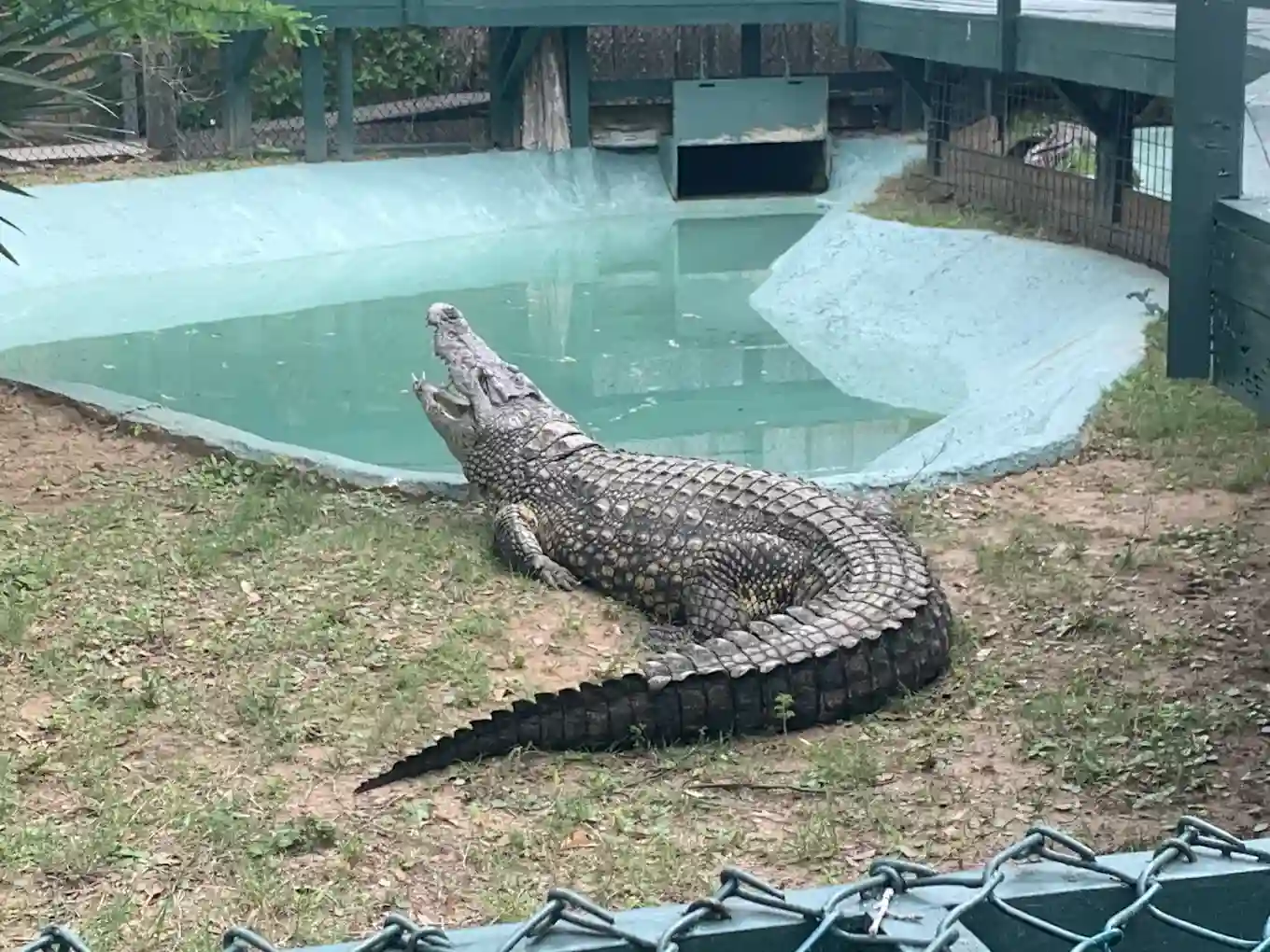 Edisto Serpentarium 1