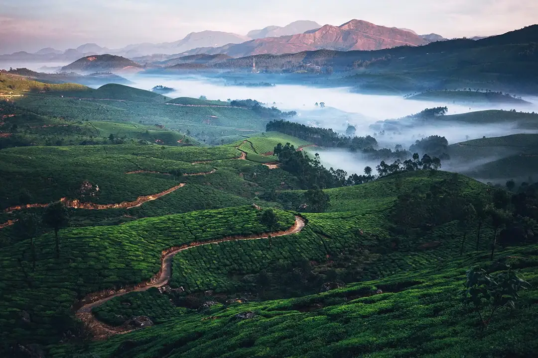 Munnar 1