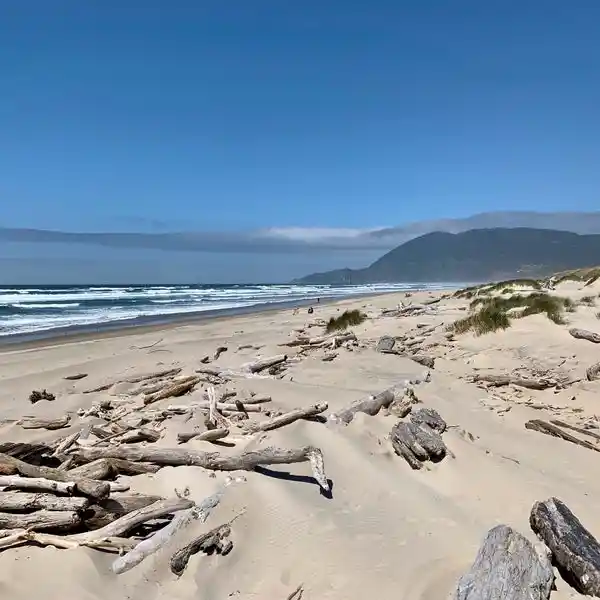 12 Wonderful Things to Do in Manzanita That You'll Love 2 Nehalem Bay State Park
