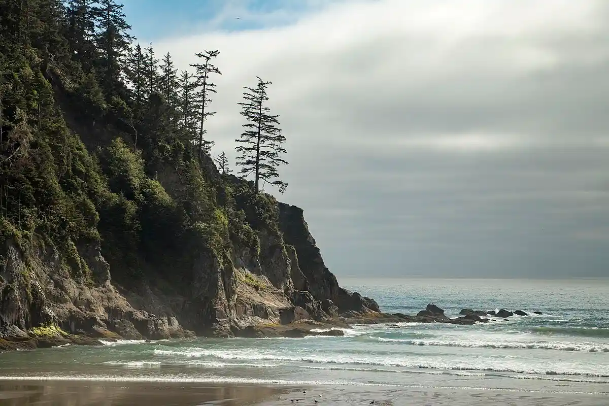 12 Wonderful Things to Do in Manzanita That You'll Love 1 Oswald West State Park