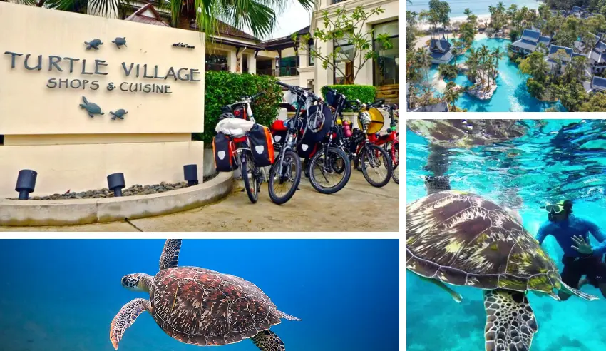 A Detailed Itinerary Guide to Phuket Happiness Trips Turtle Village