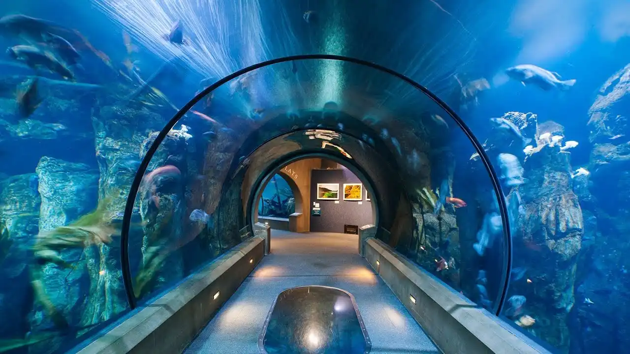Oregon Coast Aquarium