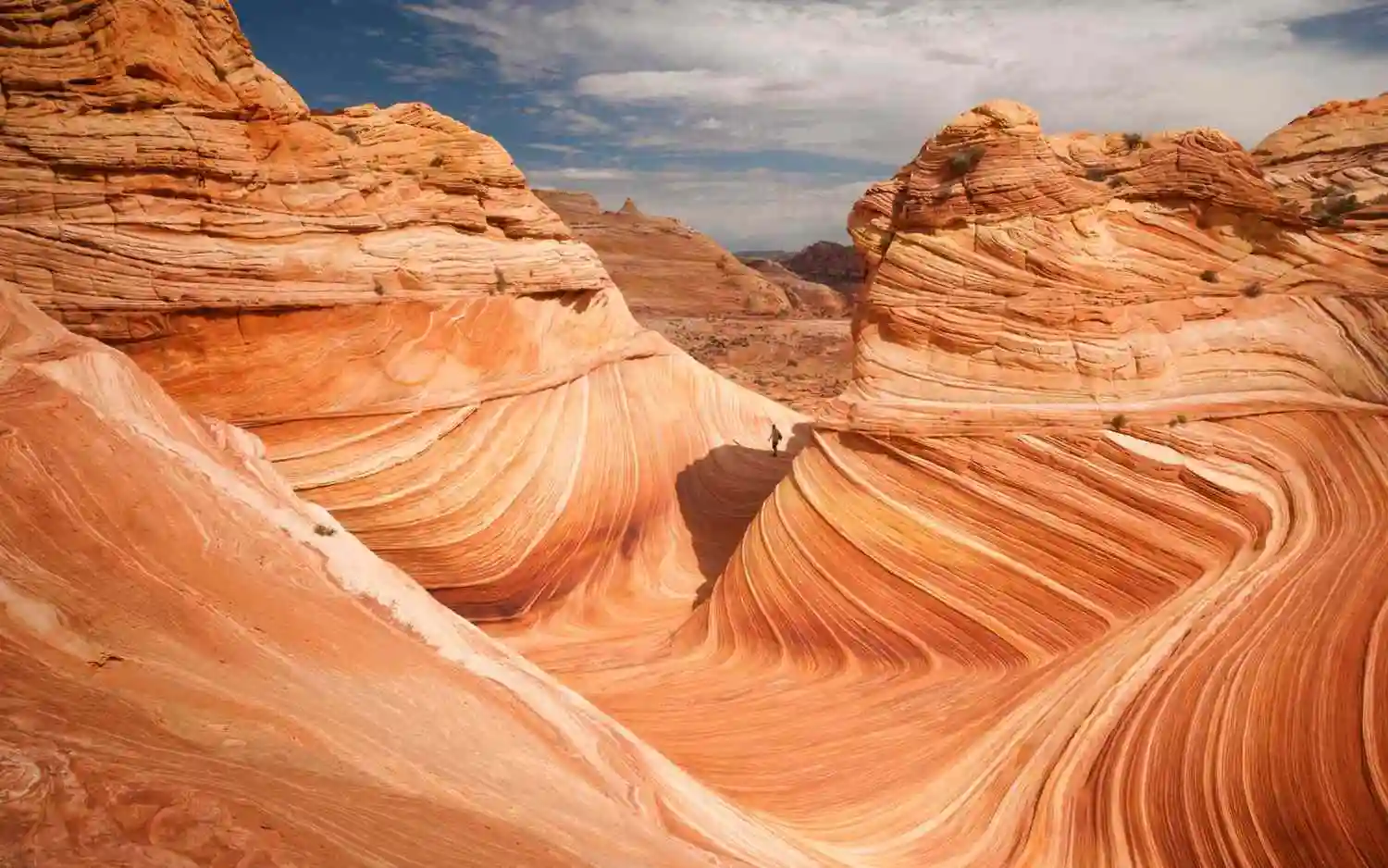 12 Best Things to Do in Page- A Local’s Guide with Tips 5 The Wave Coyote Buttes North