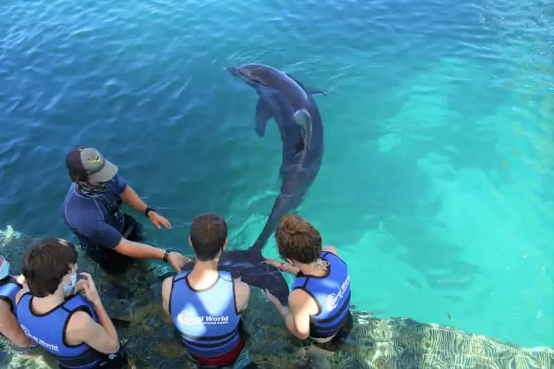 Coral World Ocean Park